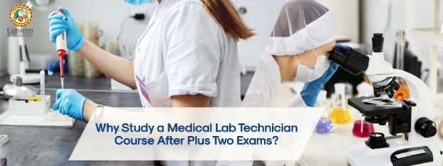 Why Study a Medical Lab Technician Course After Plus Two Exams