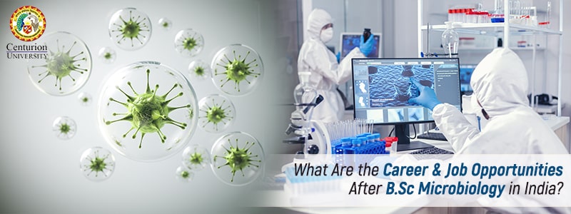 What Are the Career and Job Opportunities After BSc Microbiology in India?
